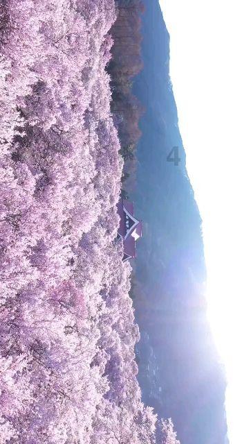 太空飞机大战